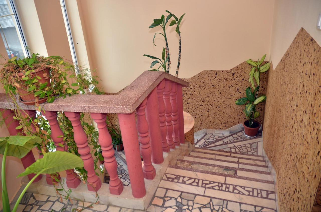 Pensiunea La Palaguta バイア·マーレ エクステリア 写真